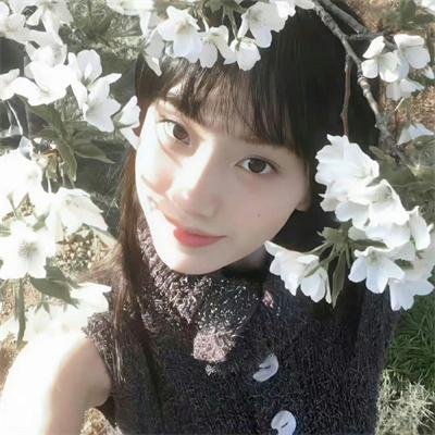 无头家族
